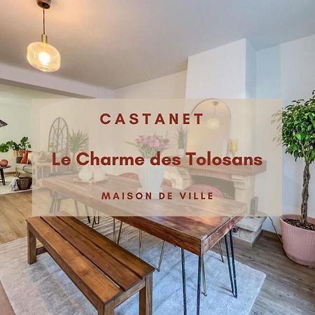 Castanet-TolosanLe Charme Des Tolosans别墅 外观 照片